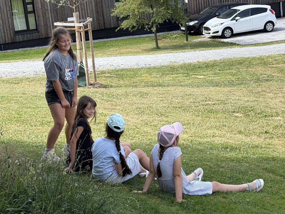 IMG 4593